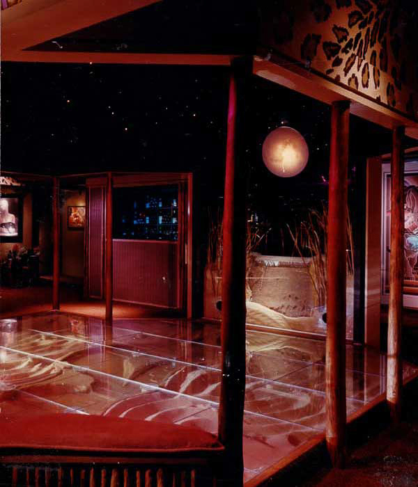 Glass dance floor built over running water with star-lit ceiling - Miami Cat’s interiors designed by Carolyn Robbins