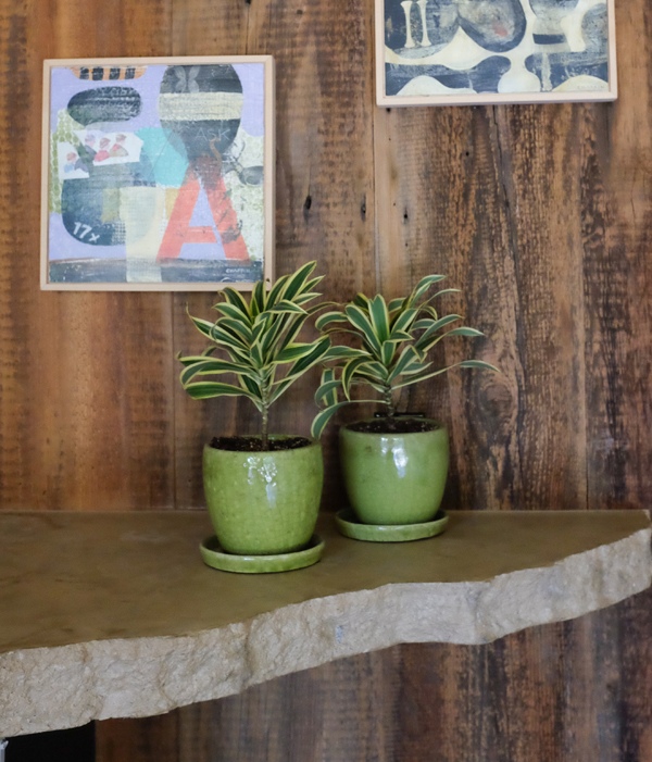 Spanish restored home with modern elements - Clowes Interior design by Carolyn Robbins