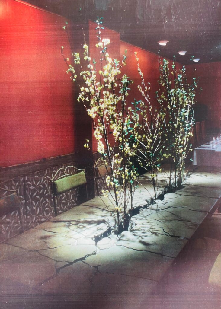 Francisco Asian restaurant in an artistic street dining vibe by Carolyn Robbins interior designer